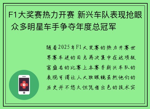 F1大奖赛热力开赛 新兴车队表现抢眼 众多明星车手争夺年度总冠军